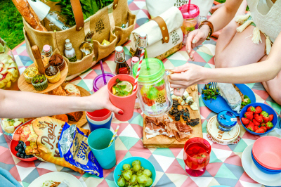 tPICNIC_main3_s.jpg